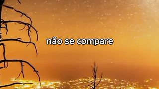 Não Desista