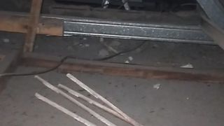 Snake on roof