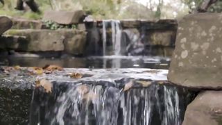 Beautiful peaceful background music