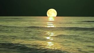 Beautiful Nature video #short video 2