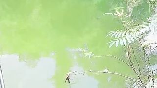 Fishing 8