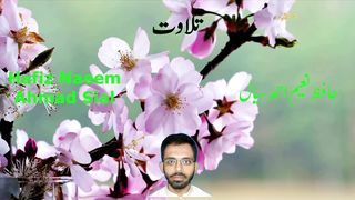 Sial Stories| Tilawat-e-Quran | تلاوت قرآن