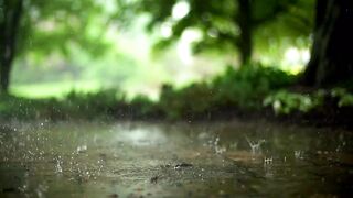 Calming Music Yoga & Meditation