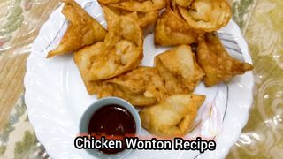 Chicken Wonton Recipe