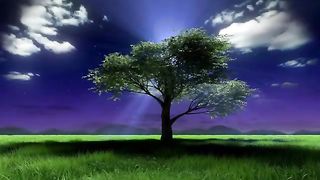 Beautiful Relaxing Music for Stress Relief - Healing Music - Calm Piano Music
