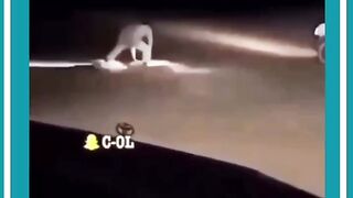 Tiktok video 43