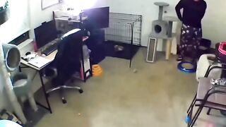 Tiktok video 44
