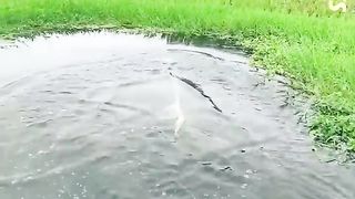 Очин хорошо занятие