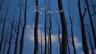 Tilawat e quran pak 2