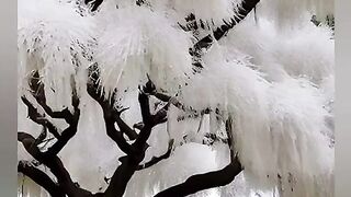 Enjoy nature's