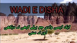 Wadi disha saudi arabia