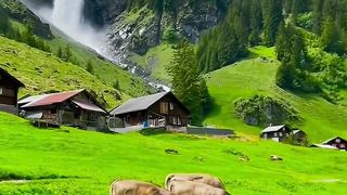 Natural Beautifull