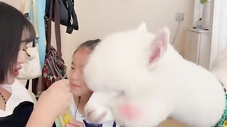 Cute enimal