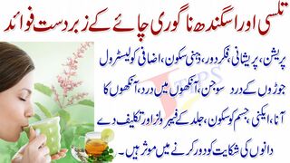 Health Benefits of Tulsi Tea - Drink To Reduce Stress & Anxiety-Health Tips