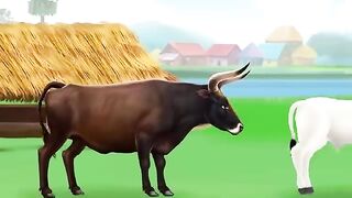 True BrotherBull Story