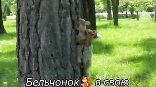 MAMA БЕЛКА ДАВА УРОЦИ