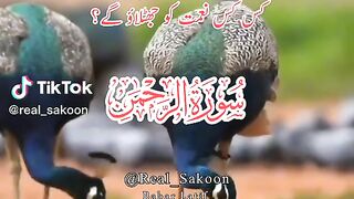 Surah Rahman beautiful voice message heart tucheng ????????????