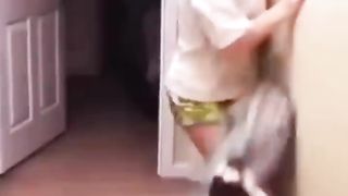 Funny Videos Dogs Reaction Compilation 20223
