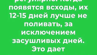 ЗА УСПЕШНА ГРАДИНА 19