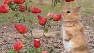 So cute 5