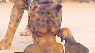 Pitbull dog 2