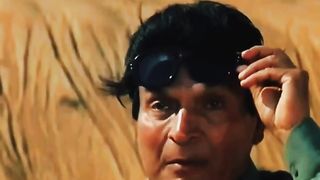 stupidity tiktok