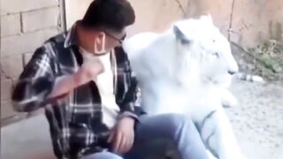 Funny Animal Shock Reaction