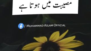 Hazral ali ka farman hai zara sono mere dost