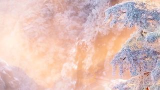 Beautiful Nature video #short video 3