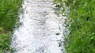 Речка