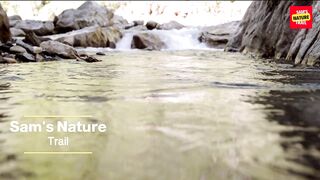 "Let the River Wash Away Your Stress with Calming and Relaxing Sounds"