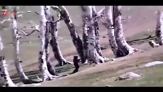 O_Janam_Meri_Sonam___(Kamal_Jhankar_Songs)(360p).