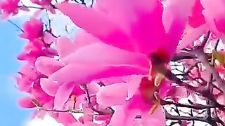 Natural beauty 35