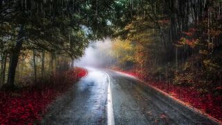 Relaxing Raining Sounds #Calming nature, #relaxation for sleep,#stress relief,