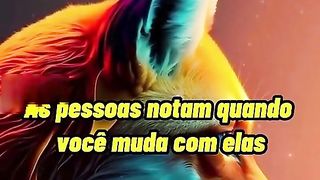 Motivacional 6