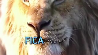 Não seja derrubado pela as pessoas