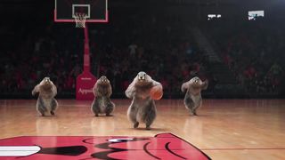 LES MARMOTES