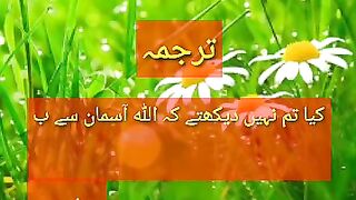 Allah barish barsata ha or zameen sar_sabz ho jati ha