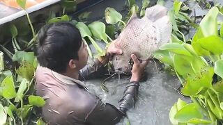 Fisherman 2