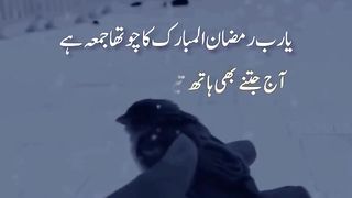 JUMMAH MUBARAK TO ALL.