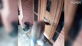Funny Video 57