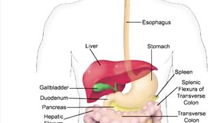 Pancreatitis overview