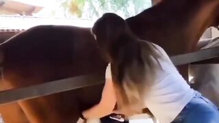 Become a horse