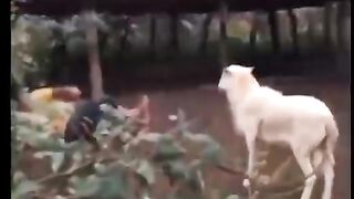 Compilation des meilleurs moments drôle de l'année