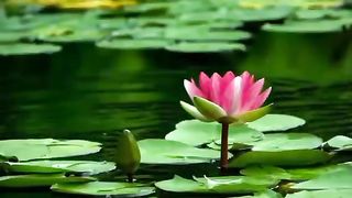Relaxing piano music for sleep