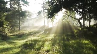 relaxing music 3
