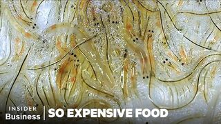 Why Spanish Glass Eels (Angulas) Are So Expensive | So Expensive Food | Insider Business, 1.7M views · 3mo ago