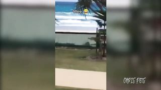 Wee video 1