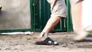Funny animals#funny dogs videos
