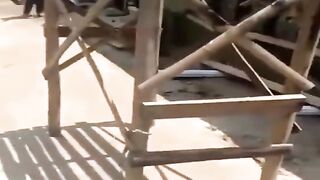 Funny videos 95